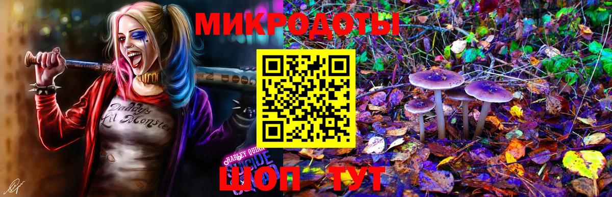 Чернушка  Галлюциногенные грибы Psilocybine cubensis  хочу наркоту  Псилоцибиновые грибы Cubensis  Вход с VPN 